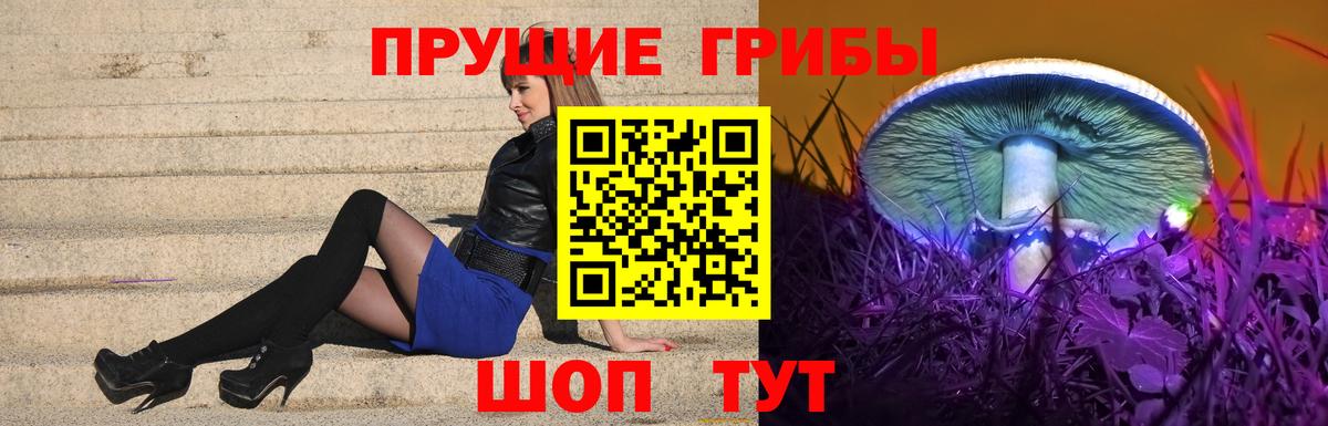 Муром  Галлюциногенные грибы Psilocybine cubensis  Псилоцибиновые грибы прущие грибы  где найти наркотики  Вход с VPN 